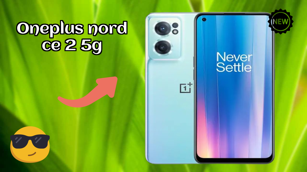 OnePlus Nord CE 2 5G Camera Review: 64 MP + 8 MP + 2 MP Rear Camera Low Light Test