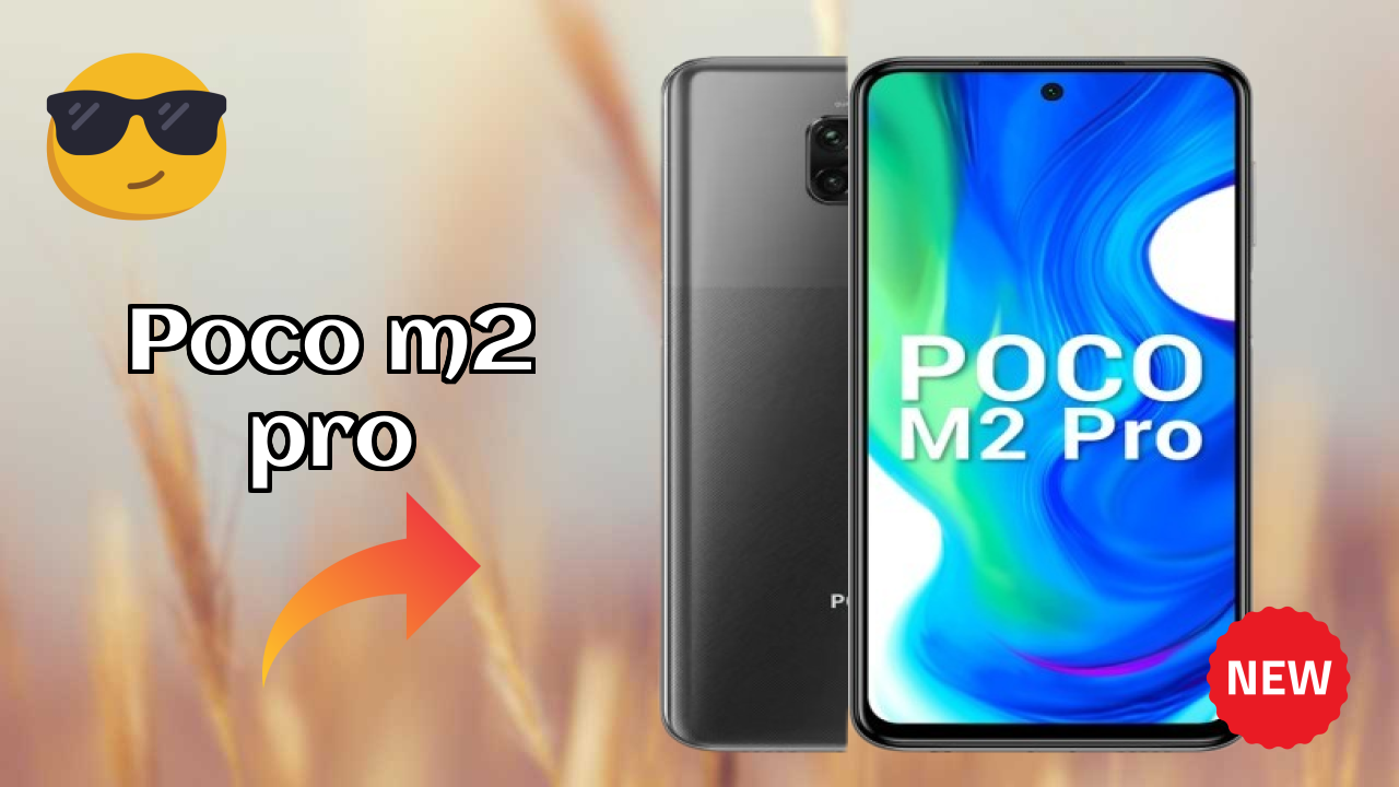 POCO M2 Pro Camera Review: 48 MP + 8 MP + 5 MP + 2 MP Rear Camera Photo Test