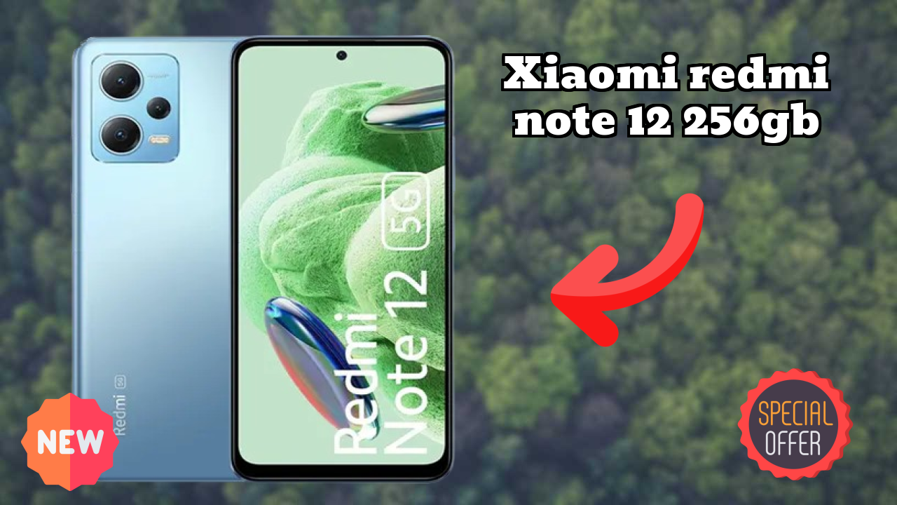 Xiaomi Redmi Note 12 256GB Display Analysis: 6.67 Inches (16.94 Cm) Quality